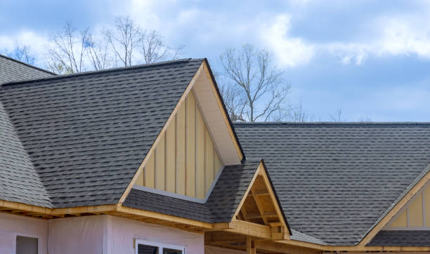 Best Roof Insulation Installation  in Delphos, OH